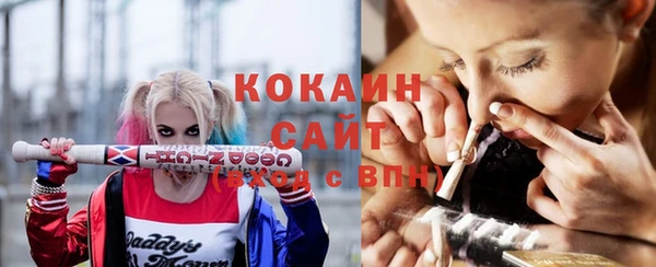 твердый Надым