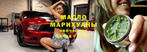 твердый Надым